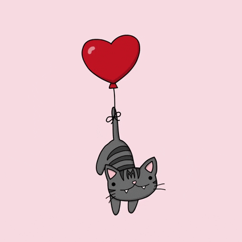 tutimon giphyupload love cat heart GIF