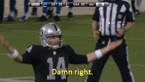 VicVik giphygifmaker GIF