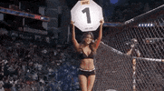Sport Mma GIF by UFC