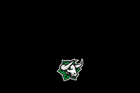 hockey_novezamky gol hcnovezamky hcnz zamky GIF