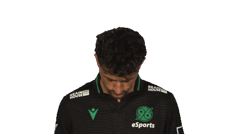 Hannover96 H96 Sticker by Bundesliga