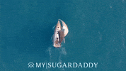 Sugar Daddy Relax GIF by M|SD Official