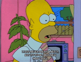 Season 1 GIF by The Simpsons