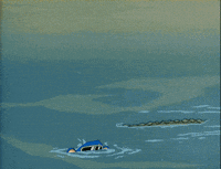 Gator Florida Man GIF by Javier Cobas