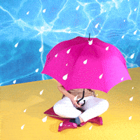 Festival Weather GIF by TK Maxx