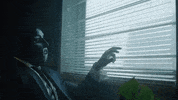 Rey Mysterio Dog GIF by M Huncho