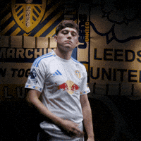 Premier League James GIF by Leeds United