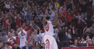 james harden basketball GIF
