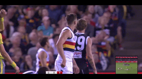 afl celebrate GIF by Adelaide Crows