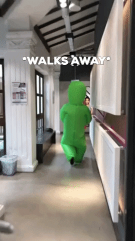 riachenlishan giphygifmaker GIF