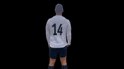 ShopJapeSports swift 12 amsterdam swift 12 swift amsterdam maoui swift 12 GIF