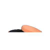 SchollConcepts orange pads car care carcare Sticker
