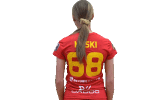 Floorball Salibandy Sticker by F-liiga