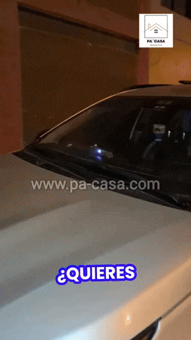 javiersalvatierraleon giphyupload GIF