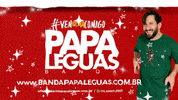 bandapapaleguas carnaval luz salvador micareta GIF