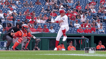 Regular Season Sport GIF by MLB