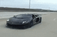 Seth Svj GIF by The Exotics Network