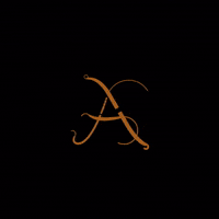 Loop Gold GIF