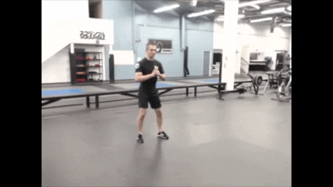 ritchieyip giphygifmaker bodyweight exercises side lunge GIF