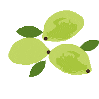 Skincare Plant Sticker by True Botanicals