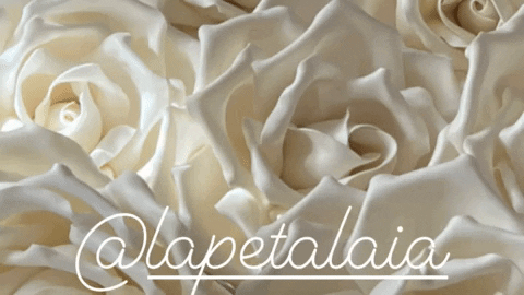 marziafappani giphybackdropmaker wedding rose background GIF