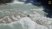 Kayaking Nat Geo GIF by National Geographic Channel