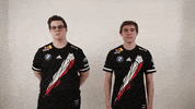 Rocket League Ok GIF by G2 Esports