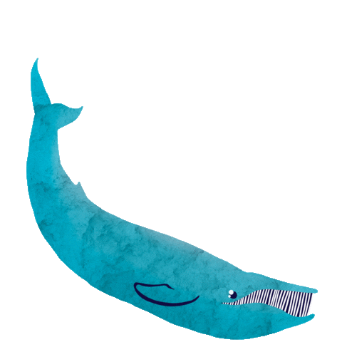 Sticker by why not soda