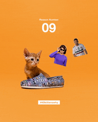 save them all best friends GIF by Best Friends Animal Society