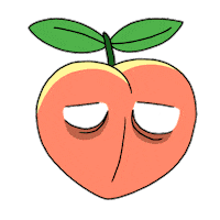 cuidate_fau cansado poto cuidate durazno Sticker