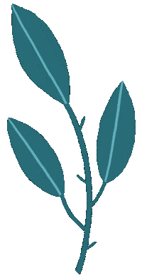 Plant Leaf Sticker by Marie Boiseau