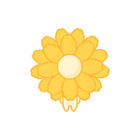 aprilskin 쿠션 calendula 패드 에센스 Sticker