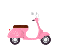 cabidepinkboutique cabidepink cabidepinkboutique Sticker