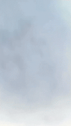 Persona Jokerpersona5 GIF by Youtooz