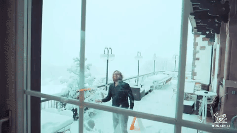 Snowball GIF by Cityguys.nl