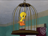 Swinging Tweety Bird GIF