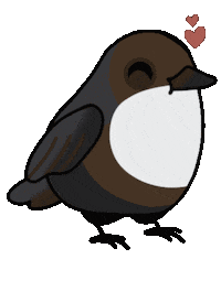 Bird Vogel Sticker