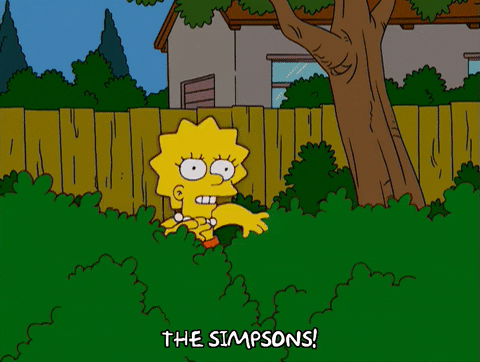 lisa simpson GIF