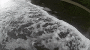 Art Video GIF by jorgemariozuleta