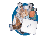 AmityFishCo amity amityfishcompany amity fish company amity fish co Sticker