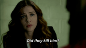 fox innocentonfox GIF by Proven Innocent
