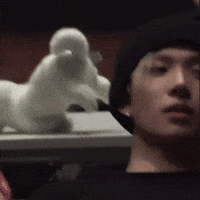 Enhypen GIF