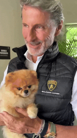 Pomeranian Kroshka GIF