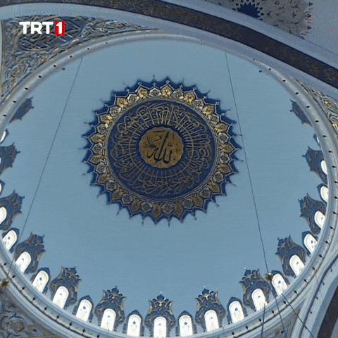 Night Drone GIF by TRT