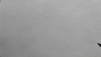 giuvisualart art animation loop black and white GIF