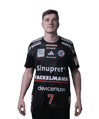 Handball Sticker by HCErlangen