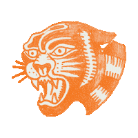 Angry Orange Sticker by Tumble 'N Dry