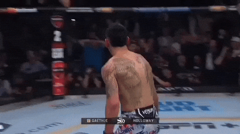 Mixed Martial Arts Sport GIF by UFC