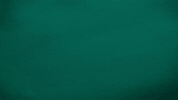Mariners GIF by ROOT SPORTS