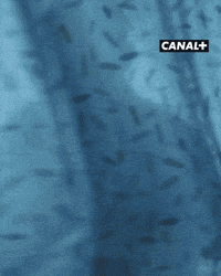 Dexter Morgan Surprise GIF by CANAL+